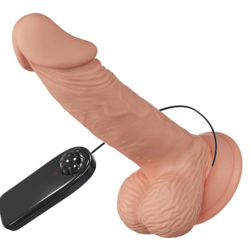 BAILE - BEAUTIFUL ENCOUNTER ZEBULON VIBRATION 19.4 CM NATURAL BAILE - BEAUTIFUL ENCOUNTER ZEBULON VIBRATION 19.4 CM NATURAL