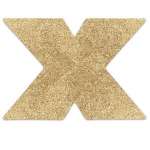 BIJOUX INDISCRETS - FLASH CROSS GOLD NIPPLE COVERS