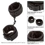 CALEXOTICS - Boundless Ankle kahleet