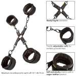 CALEXOTICS - BOUNDLESS HOG TIE