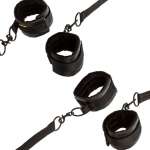 CALEXOTICS - Boundless punainen Restraint
