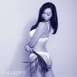 CALEXOTICS - NOCTURNAL FLOGGER LEATHER BLACK