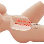 CRAZY BULL - LILY REALISTIC FEMALE TORSO VAGINA AND ANAL 4 KG