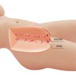 CRAZY BULL - TIFFANY REALISTIC FEMALE TORSO VAGINA AND ANAL 5.5 KG