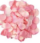 DIABLO PICANTE - 100 PINK PETALS