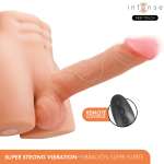 INTENSE DEEP TOUCH - RICHIE TORSO WITH ANUS AND REALISTIC DILDO WITH PUSHING AND VIBRATION REMOTE CONTROL 4.7 KG