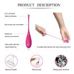 LESLIE - KEGEL FIT PELVIC MUSCLE TRAINING SET 6 WEIGHTS