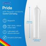 PASANTE - FORMAT GAY PRIDE 144 PACK CONDOMS (BAG)