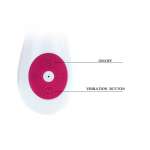 PRETTY LOVE - FLIRTATION DANIEL VIBRATOR