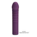 PRETTY LOVE - RYLAND RECHARGEABLE VIBRATOR 10 FUNCTIONS PURPLE