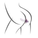 ROCKS-OFF - QUEST PROSTATE BULLET PROSTATE VIBRATOR BLACK