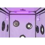SECRET DOME - KINK CLUB CABIN SCANDALE PURPLE