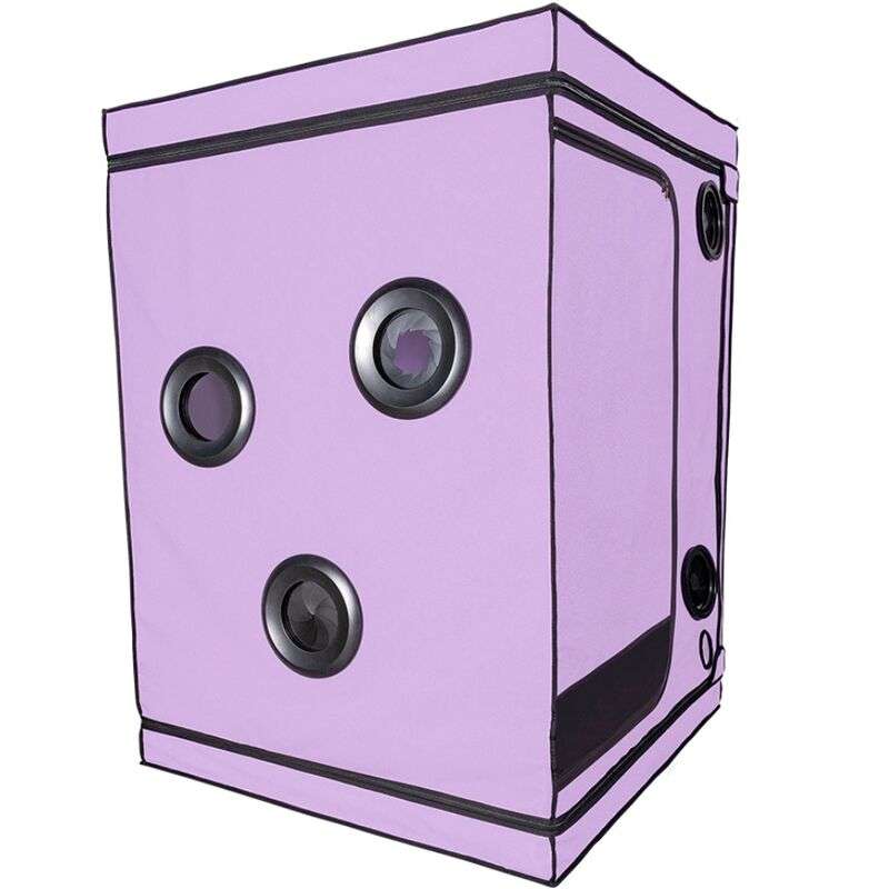 SECRET DOME - KINK CLUB CABIN SCANDALE PURPLE SECRET DOME - KINK CLUB CABIN SCANDALE PURPLE