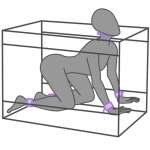 SECRET DOME - KINK CLUB LA NICHE CABIN PURPLE