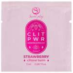 SECRETPLAY - SINGLE DOSE STRAWBERRY LUBRICANT 2 ML